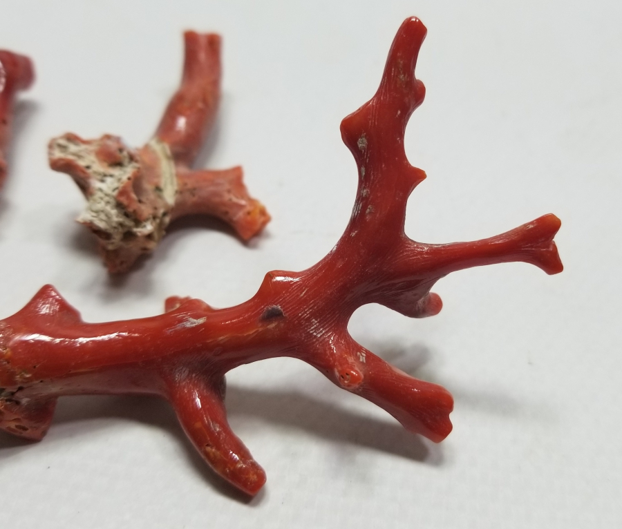 İŞLENMEMİŞ TUNUS MERCANLARI LOTU