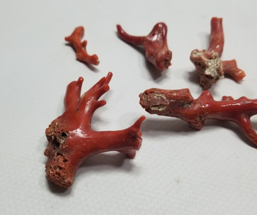 İŞLENMEMİŞ TUNUS MERCANLARI LOTU