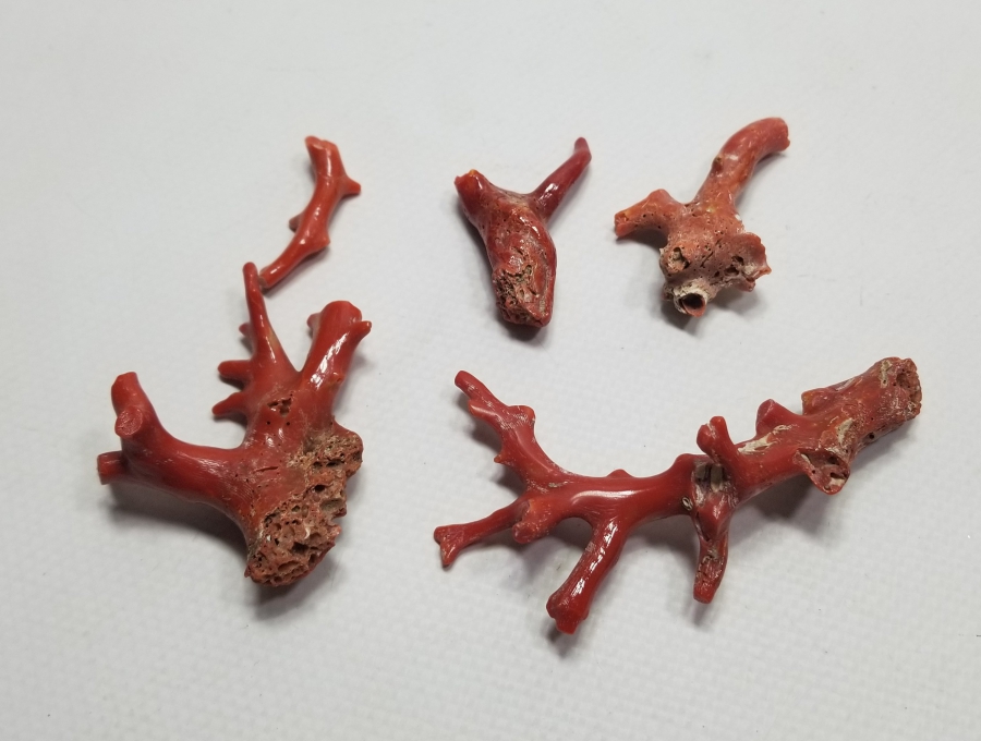 İŞLENMEMİŞ TUNUS MERCANLARI LOTU