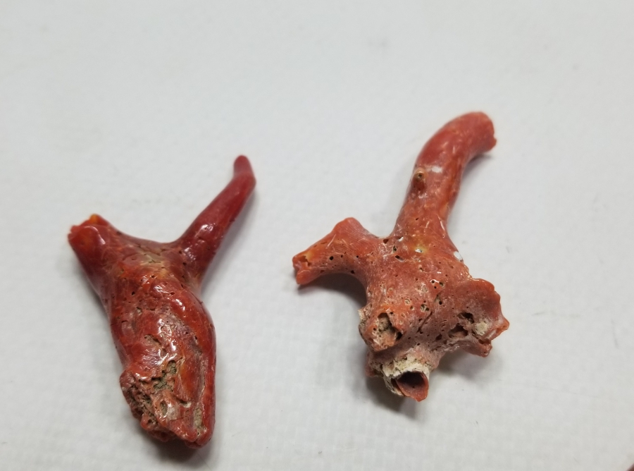 İŞLENMEMİŞ TUNUS MERCANLARI LOTU