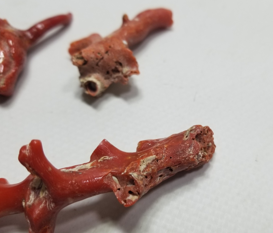 İŞLENMEMİŞ TUNUS MERCANLARI LOTU