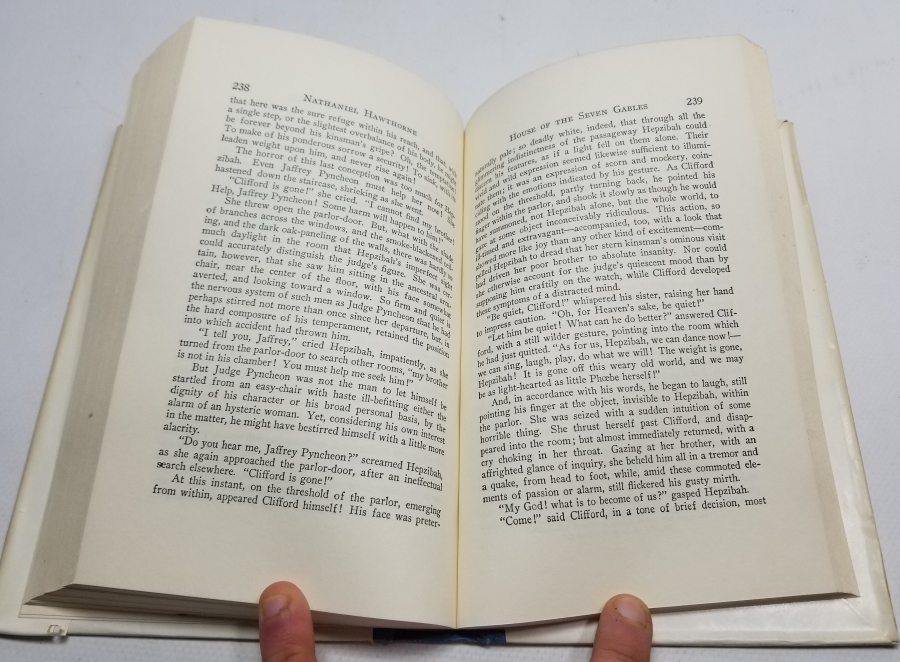 İNGİLİZCE YEDİ ÇATILI EV İSİMLİ KİTAP