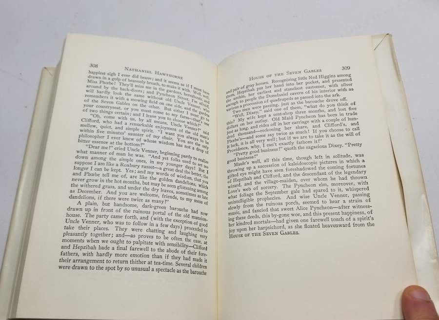 İNGİLİZCE YEDİ ÇATILI EV İSİMLİ KİTAP