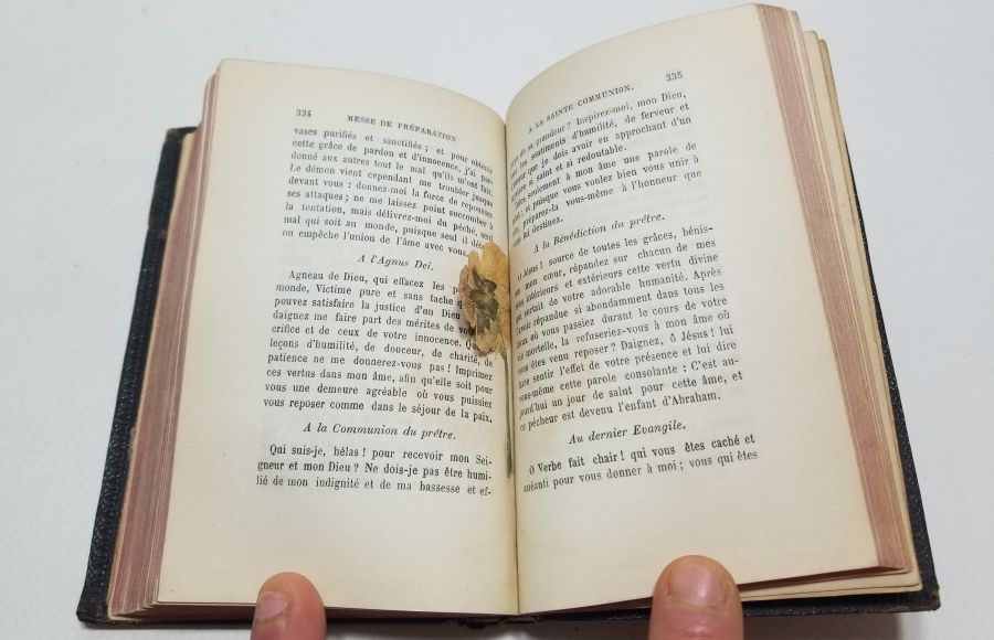 1874 TARİHLİ DERİ CİLTLİ ANTİKA İNCİL