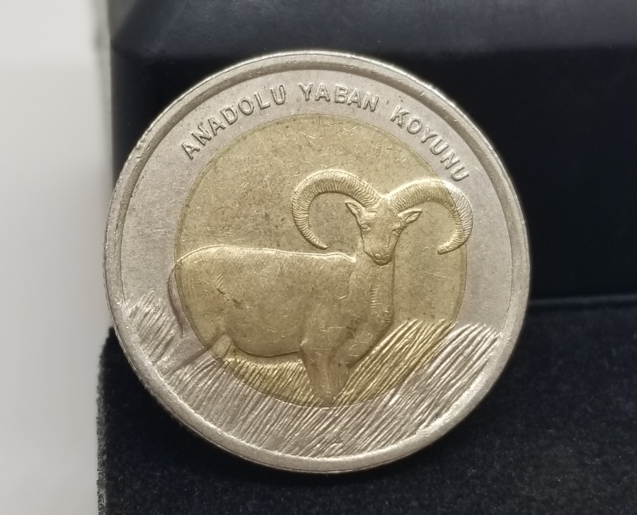 2015 ANADOLU YABAN KOYUNU 1 LİRA HATIRA PARA