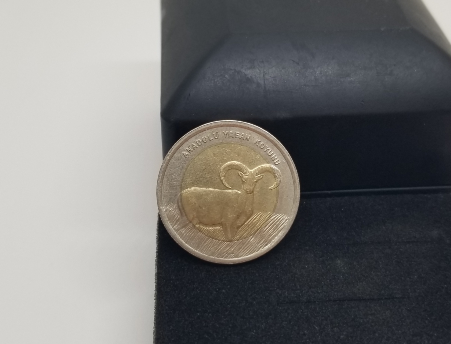 2015 ANADOLU YABAN KOYUNU 1 LİRA HATIRA PARA