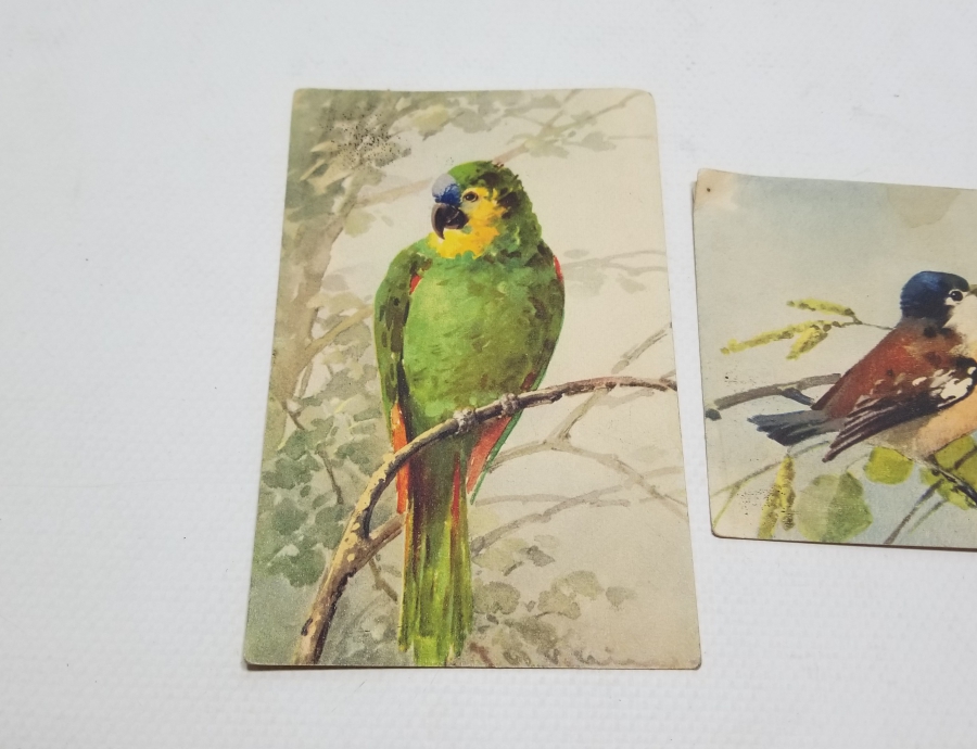 OSMANLI DÖNEMİ SANATÇI İMZALI ÖZEL YAPIM KARTPOSTAL LOTU