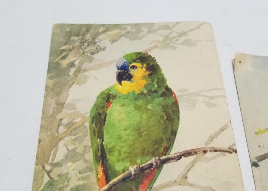 OSMANLI DÖNEMİ SANATÇI İMZALI ÖZEL YAPIM KARTPOSTAL LOTU