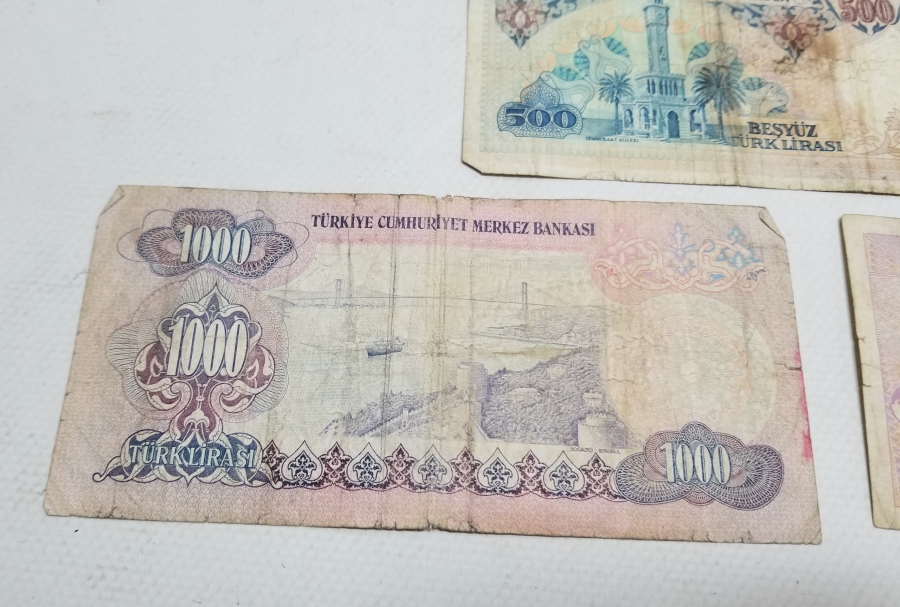 ANTİKA KAĞIT PARA LOTU