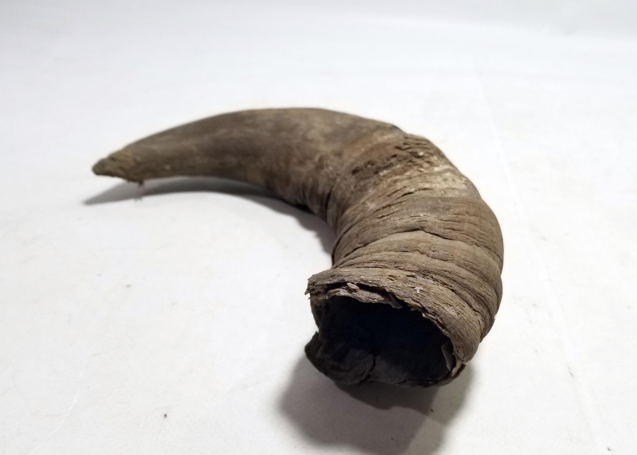 MANDA BOYNUZUNDAN YAPILMIŞ OSMANLI DÖNEMİ KAĞNI YAĞDANLIĞI