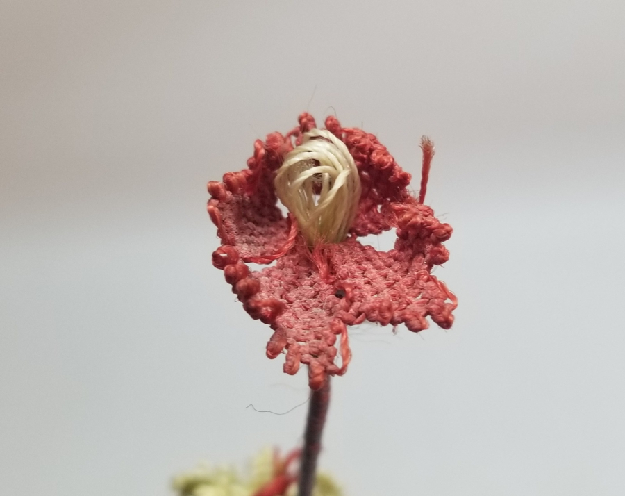 OSMANLI DÖNEMİ İĞNE OYALI KOZAK YÖRESİ NADİR GELİN ÇİÇEĞİ