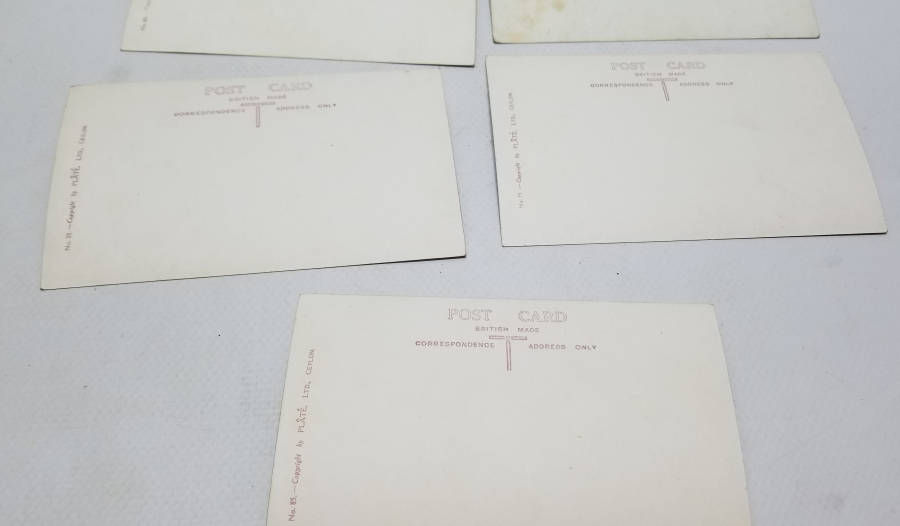 1900 BAŞLARI NADİR CEYRON KARTPOSTALLAR