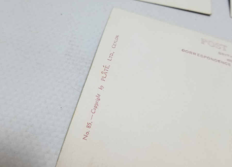 1900 BAŞLARI NADİR CEYRON KARTPOSTALLAR