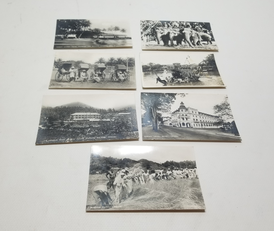 1900 BAŞLARI NADİR CEYRON KARTPOSTALLAR