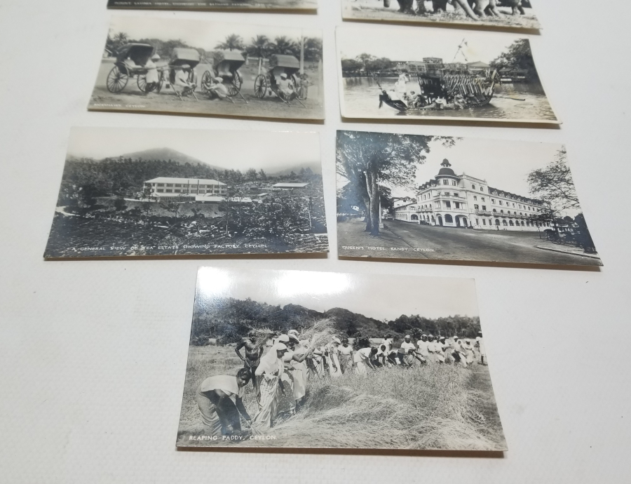 1900 BAŞLARI NADİR CEYRON KARTPOSTALLAR