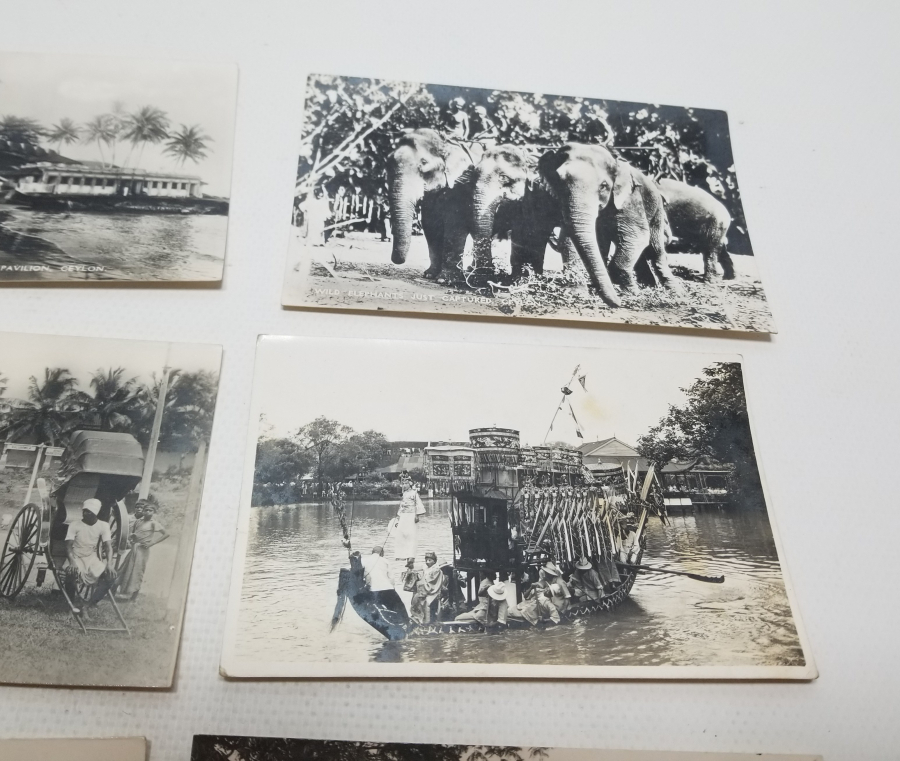 1900 BAŞLARI NADİR CEYRON KARTPOSTALLAR