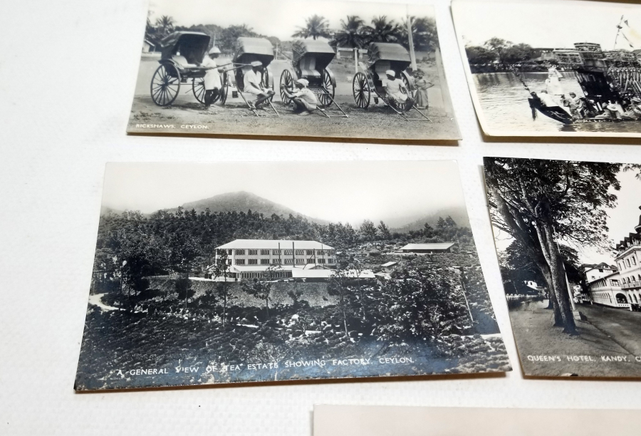 1900 BAŞLARI NADİR CEYRON KARTPOSTALLAR