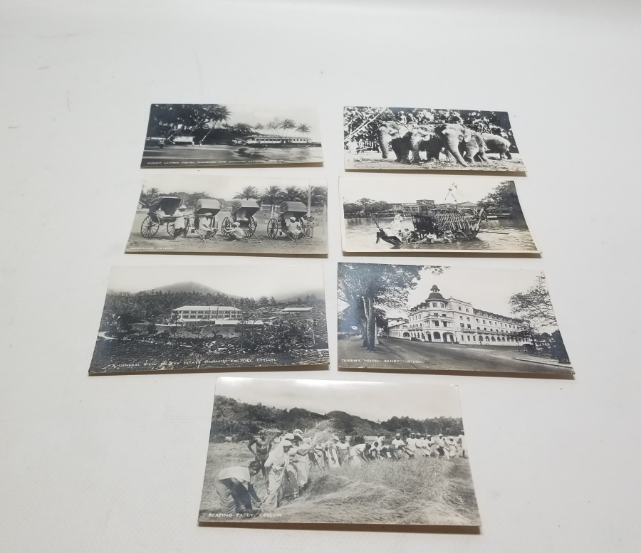 1900 BAŞLARI NADİR CEYRON KARTPOSTALLAR