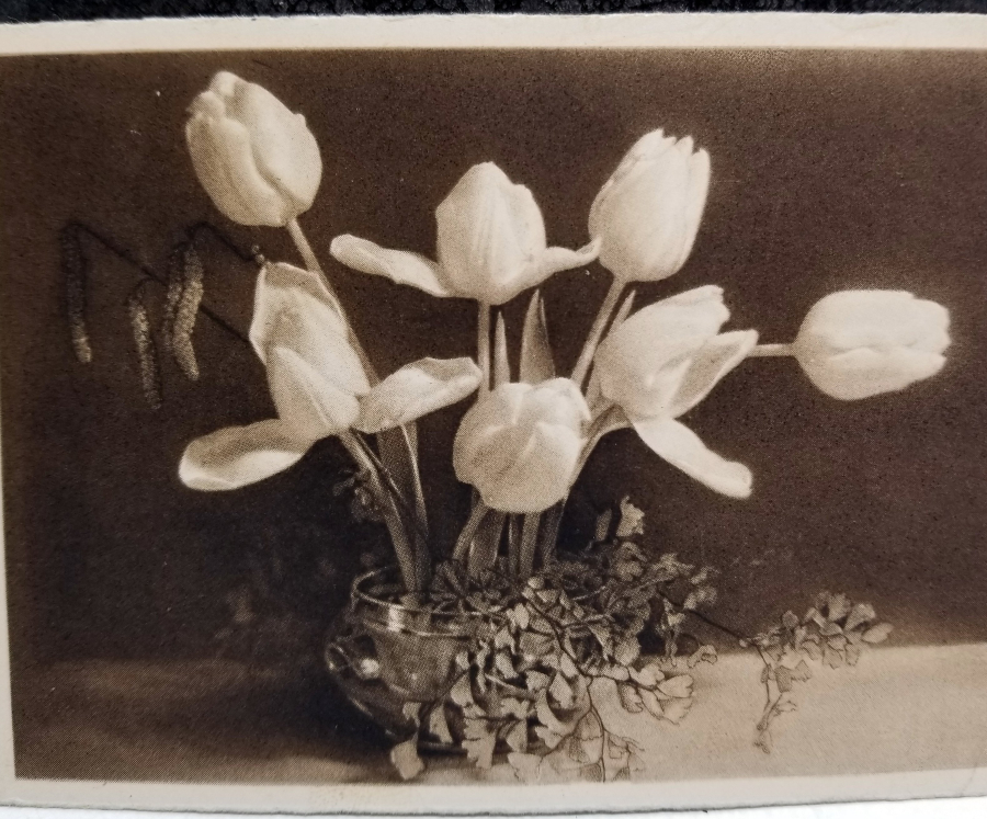 ORİJİNAL PULUYLA POSTADAN GEÇMİŞ ALMAN KARTPOSTAL