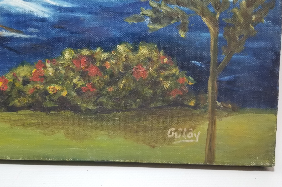 GÜLAY İMZALI TUVAL ÜZERİ YAĞLI BOYA TABLO