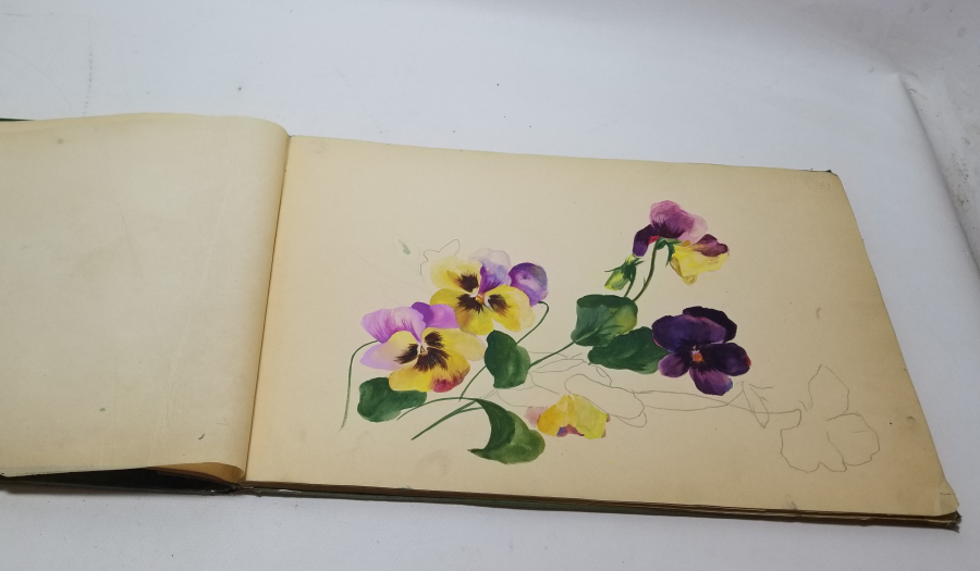 OSMANLI DÖNEMİ DEV BOYDA ÜZERİ OSMANLI DEVLET ARMALI RESİM DEFTERİ