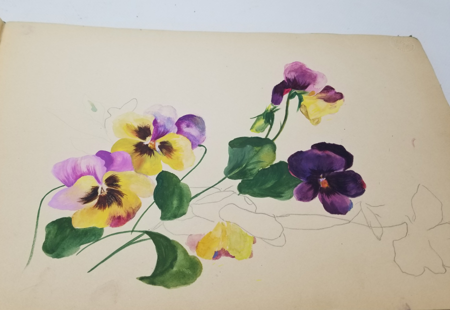 OSMANLI DÖNEMİ DEV BOYDA ÜZERİ OSMANLI DEVLET ARMALI RESİM DEFTERİ