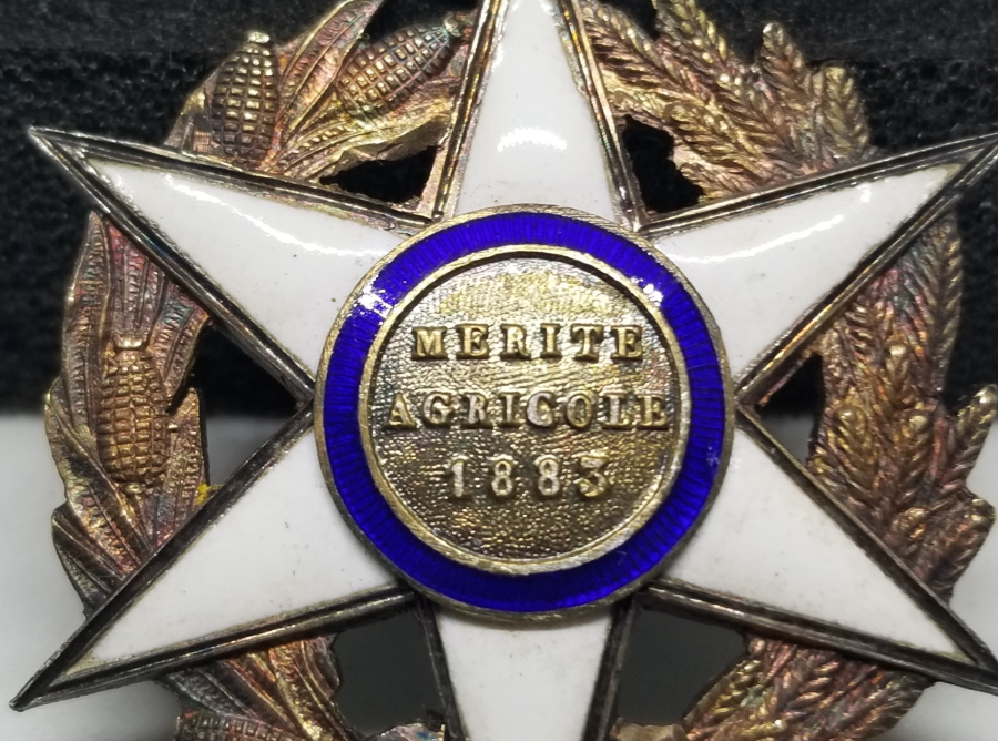 GÜMÜŞ ÜZERİ MİNE İŞÇİLİKLİ NADİR FRANSIZ TARIM LİYAKAT NİŞANI