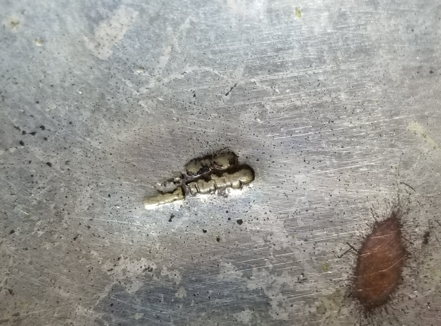 GÜMÜŞ KAPLAMA ANTİKA KAPAKLI KUTU