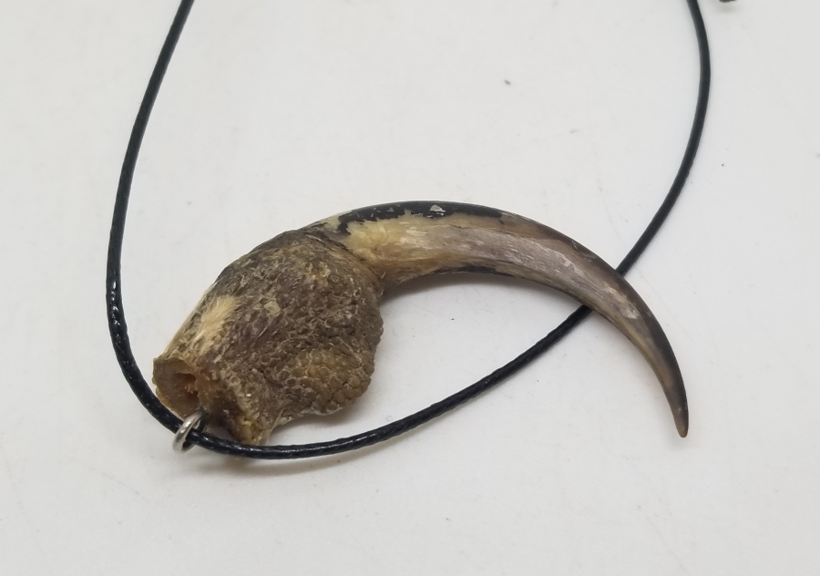 ŞAHİN PENÇESİNDEN YAPILMIŞ ÖZEL YAPIM KOLYE