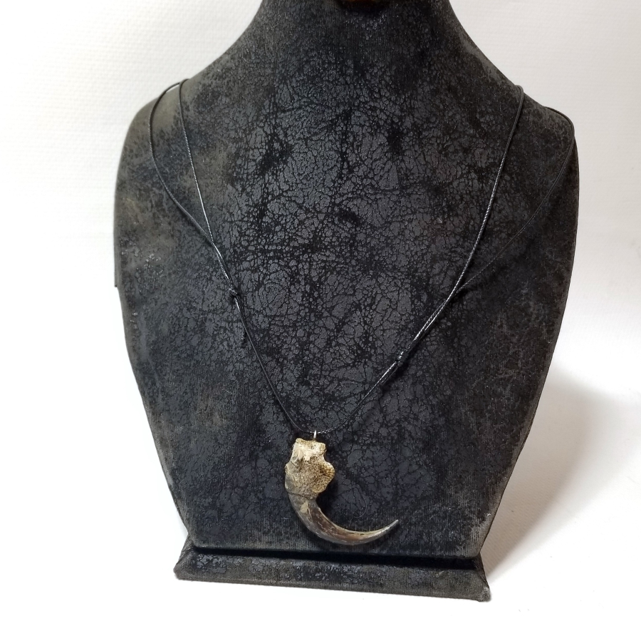 ŞAHİN PENÇESİNDEN YAPILMIŞ ÖZEL YAPIM KOLYE