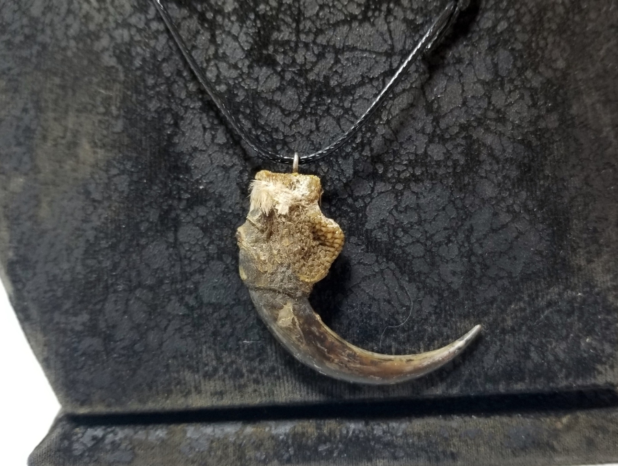 ŞAHİN PENÇESİNDEN YAPILMIŞ ÖZEL YAPIM KOLYE