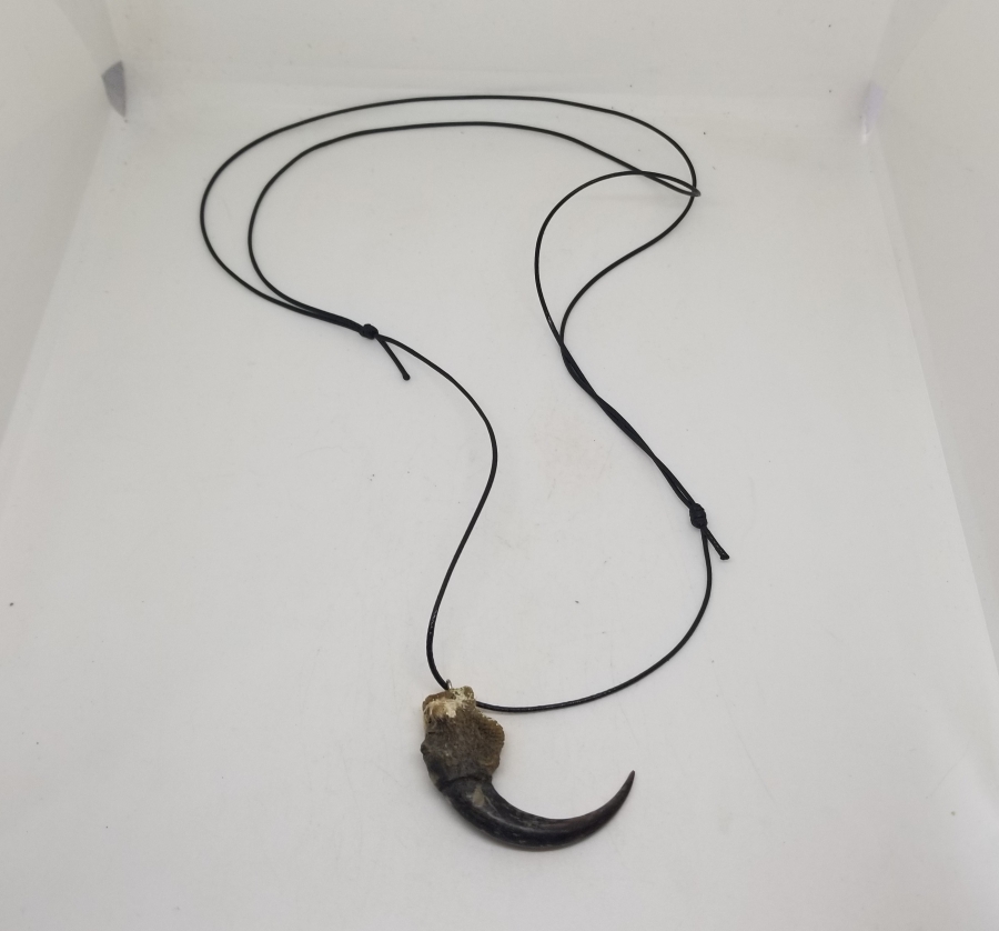 ŞAHİN PENÇESİNDEN YAPILMIŞ ÖZEL YAPIM KOLYE