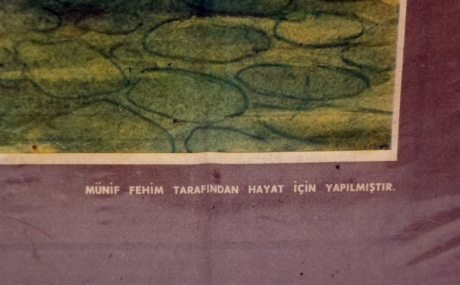 ESKİ MISIR ÇARŞISI GÖRSELLİ HAYAT DERGİSİ PANO