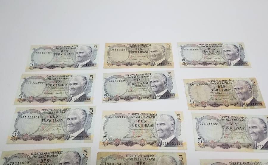 ANTİKA KAĞIT PARA LOTU