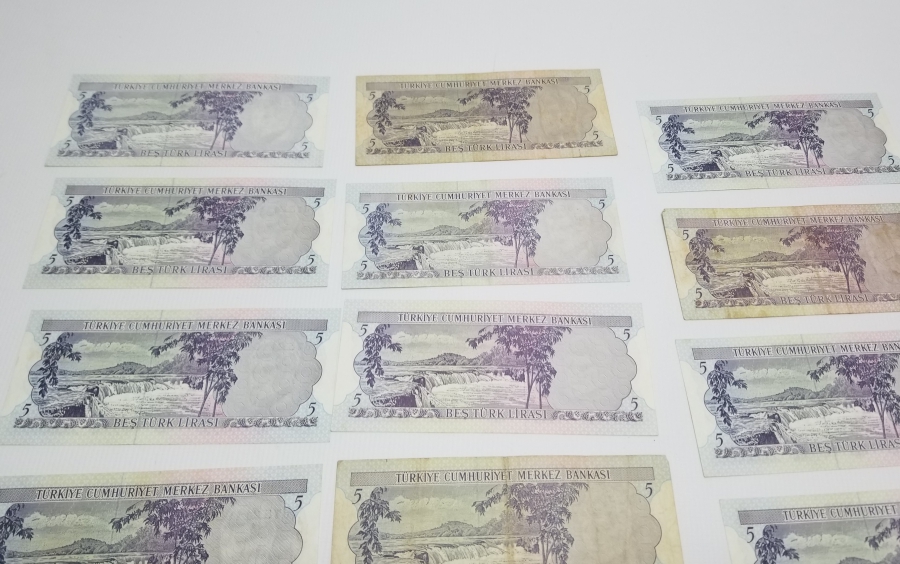 ANTİKA KAĞIT PARA LOTU