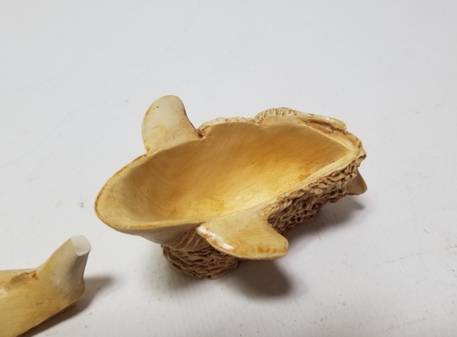 FİLDİŞİNDEN YAPILMIŞ DEKORATİF KÖPEKBALIĞI FORMLU KAPAKLI KUTU