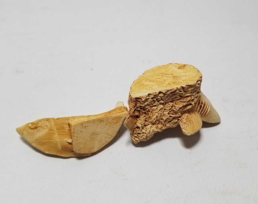 FİLDİŞİNDEN YAPILMIŞ DEKORATİF KÖPEKBALIĞI FORMLU KAPAKLI KUTU