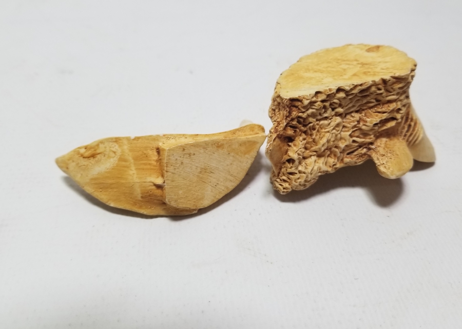 FİLDİŞİNDEN YAPILMIŞ DEKORATİF KÖPEKBALIĞI FORMLU KAPAKLI KUTU