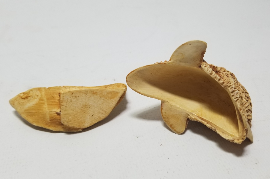 FİLDİŞİNDEN YAPILMIŞ DEKORATİF KÖPEKBALIĞI FORMLU KAPAKLI KUTU