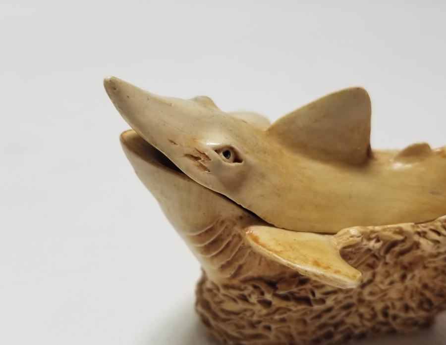 FİLDİŞİNDEN YAPILMIŞ DEKORATİF KÖPEKBALIĞI FORMLU KAPAKLI KUTU