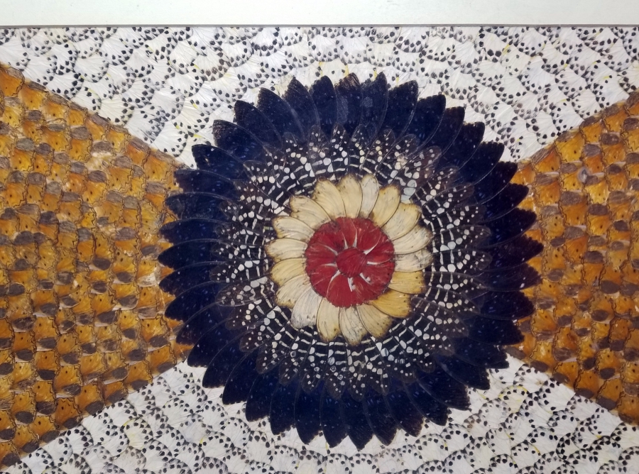 KELEBEK KANATLARINDAN YAPILMIŞ ÖZEL YAPIM PANO