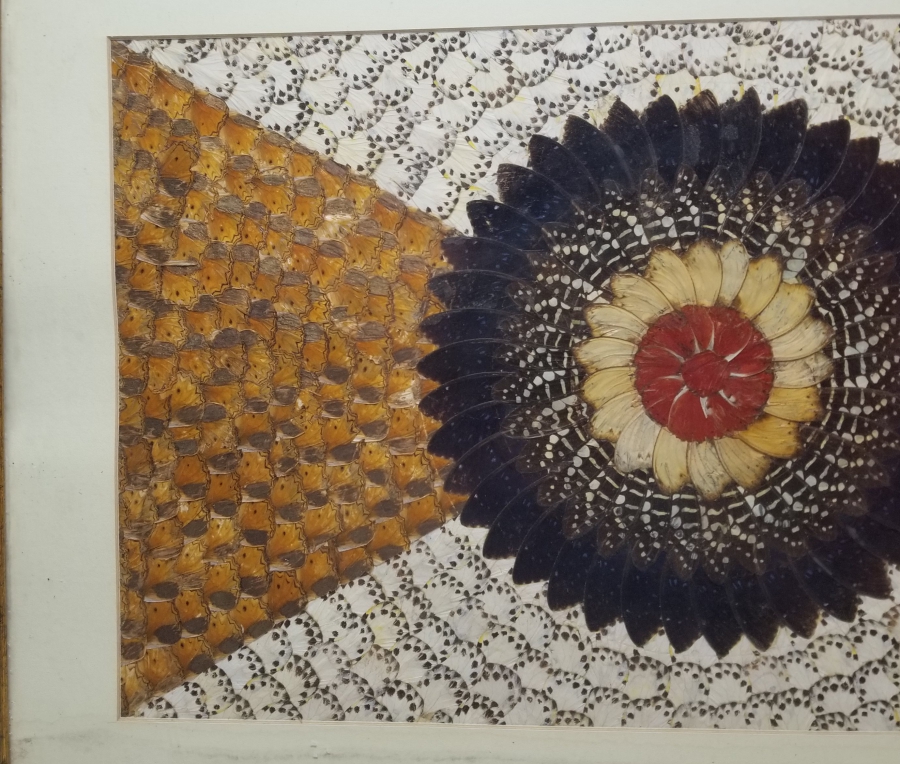 KELEBEK KANATLARINDAN YAPILMIŞ ÖZEL YAPIM PANO