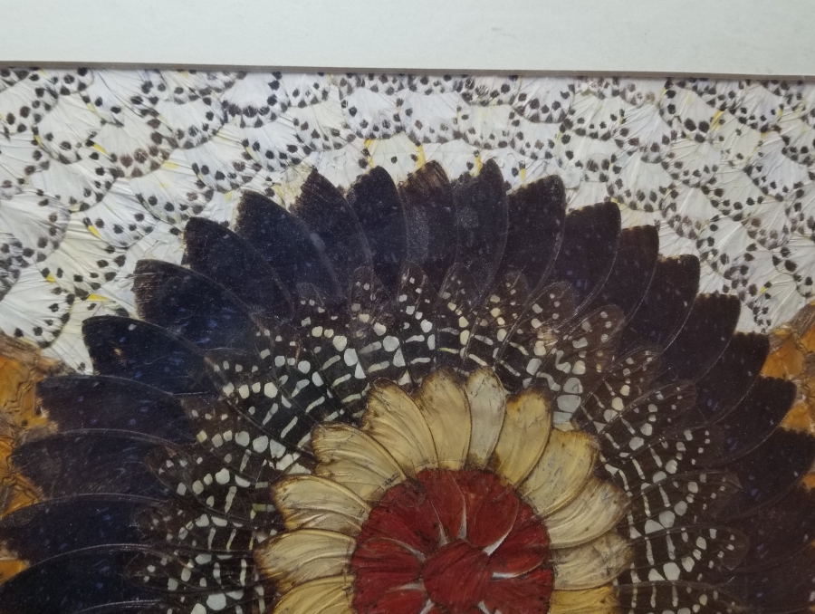 KELEBEK KANATLARINDAN YAPILMIŞ ÖZEL YAPIM PANO