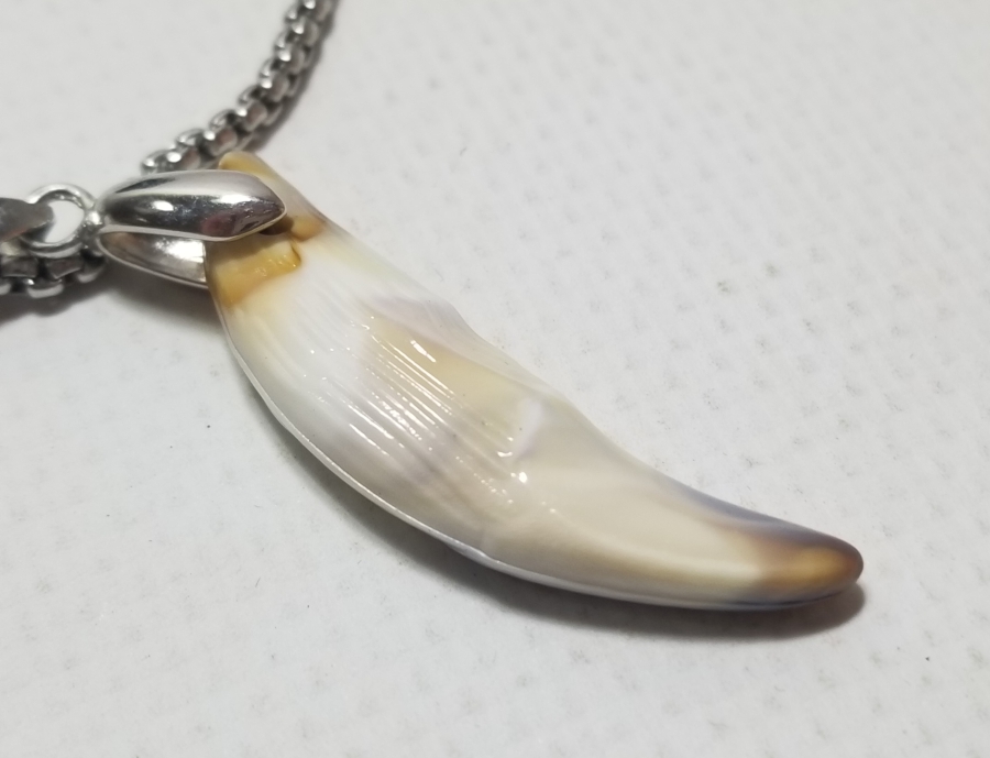 KURT DİŞİNDEN YAPILMIŞ ÖZEL YAPIM KOLYE