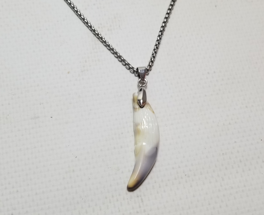 KURT DİŞİNDEN YAPILMIŞ ÖZEL YAPIM KOLYE