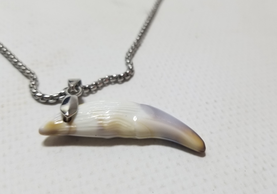 KURT DİŞİNDEN YAPILMIŞ ÖZEL YAPIM KOLYE