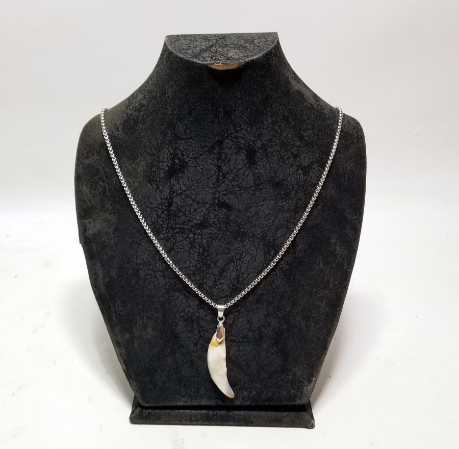 KURT DİŞİNDEN YAPILMIŞ ÖZEL YAPIM KOLYE