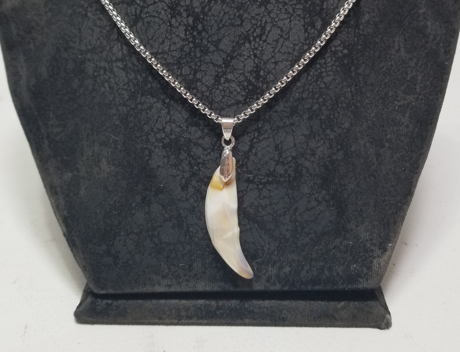 KURT DİŞİNDEN YAPILMIŞ ÖZEL YAPIM KOLYE