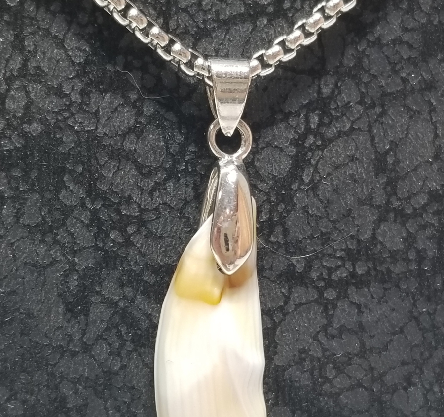 KURT DİŞİNDEN YAPILMIŞ ÖZEL YAPIM KOLYE