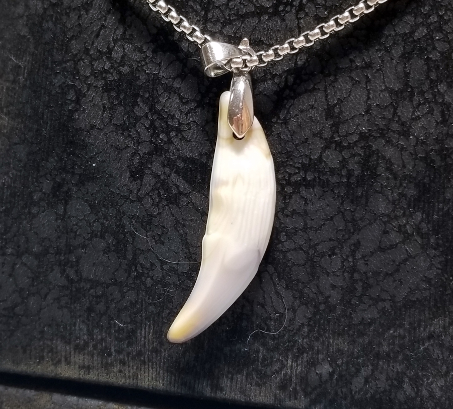 KURT DİŞİNDEN YAPILMIŞ ÖZEL YAPIM KOLYE